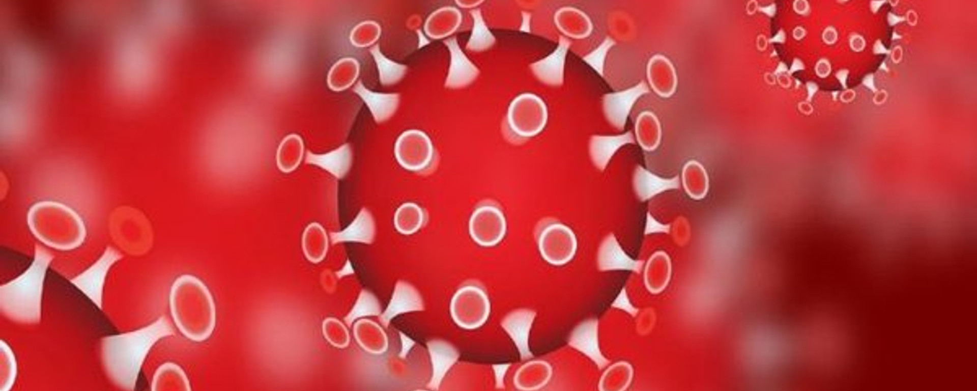 koronavirus.jpeg